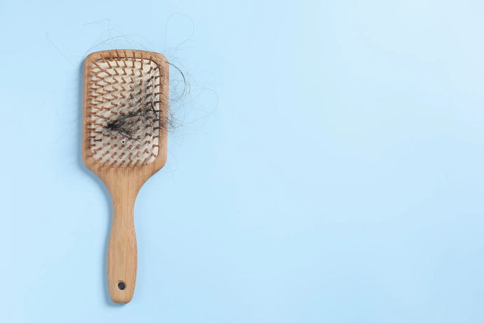 Understanding Hair Loss